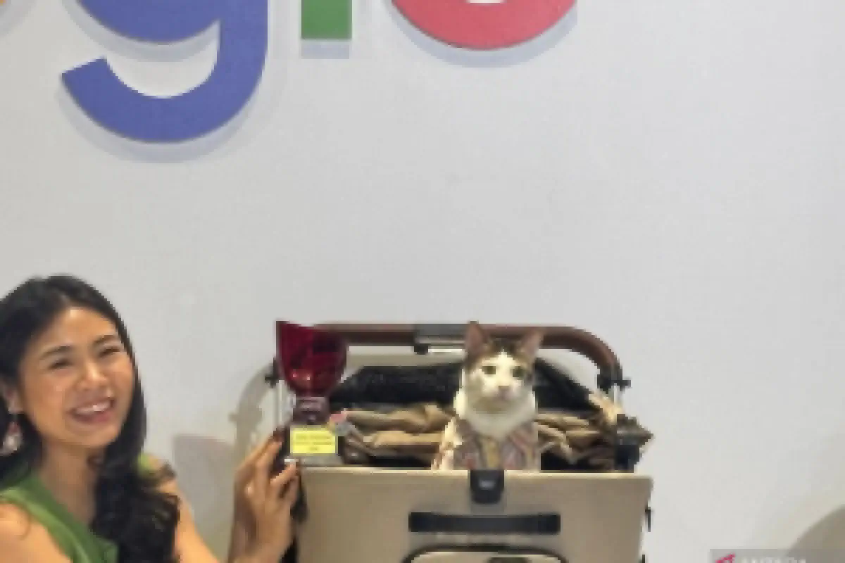 Mengenal Bobby Kertanegara: Kucing Gemas yang Viral di Google Tahun 2024